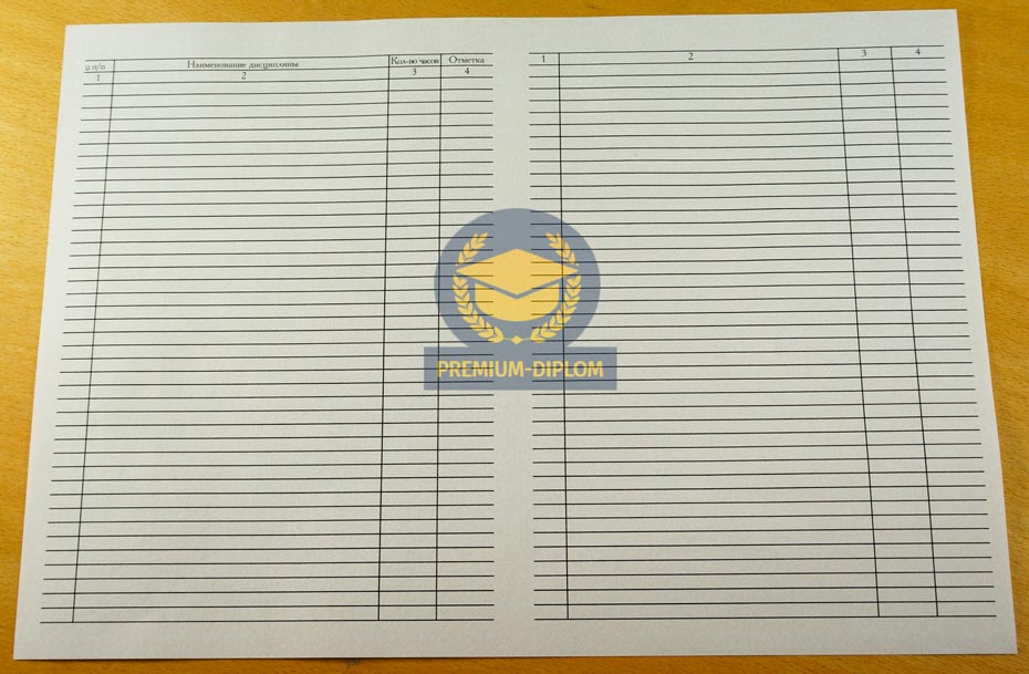 Специалист, Бакалавр, Магистр с 2011 года (Беларусь) - фото